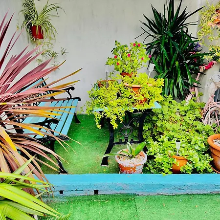 Vakantiehuis Al Sol De Ruinas- Piscina Privada