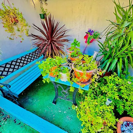 Feriehus Al Sol De Ruinas Con Piscina Privada Junto Al Pueblo Viejo De