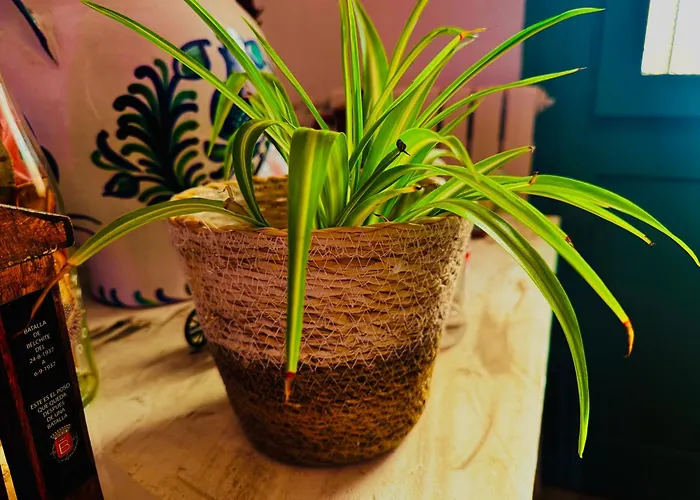 Vakantiehuis Al Sol De Ruinas- Piscina Privada Belchite